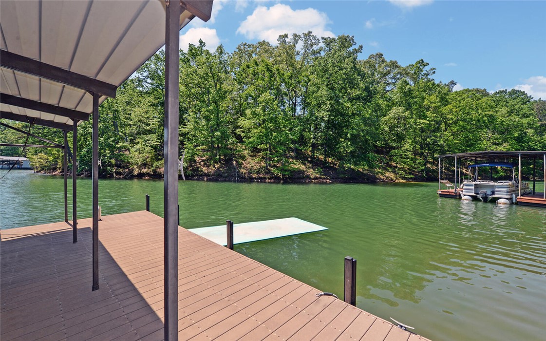 Residential, Hartwell, Georgia image 43