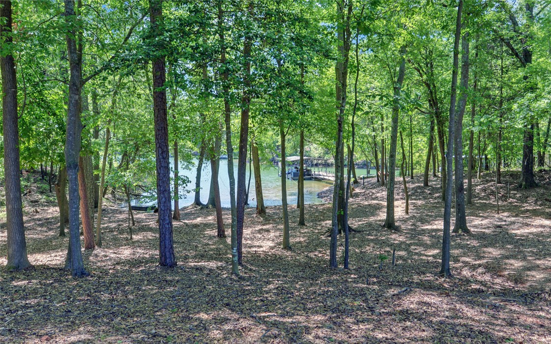 Residential, Hartwell, Georgia image 39