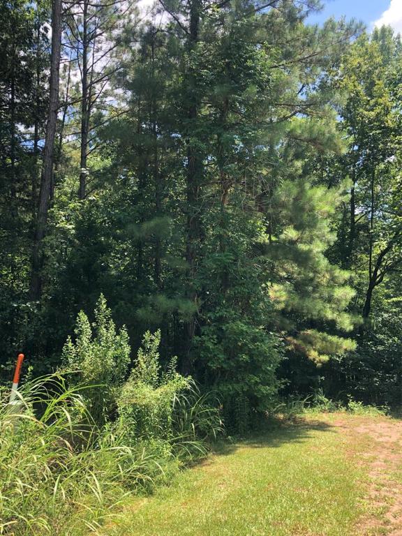 Dogwood Lane, Abbeville, South Carolina image 21