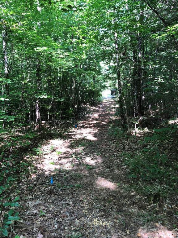 Dogwood Lane, Abbeville, South Carolina image 20