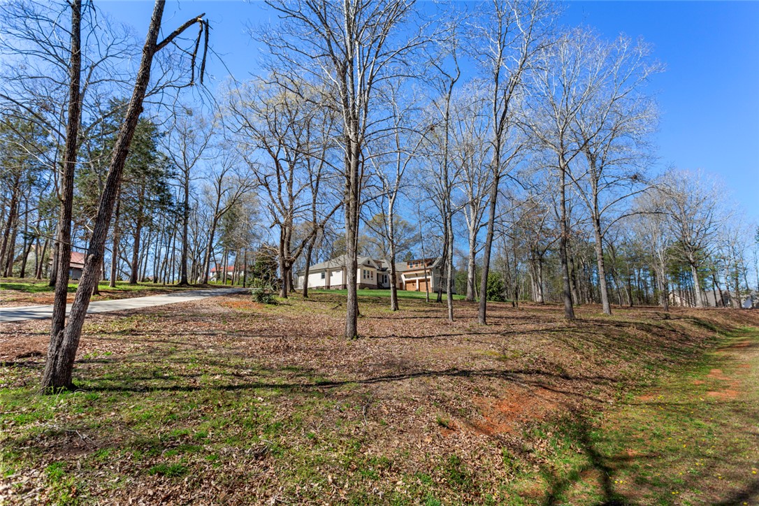 102 Misty Oaks Lane, Pendleton, South Carolina image 23