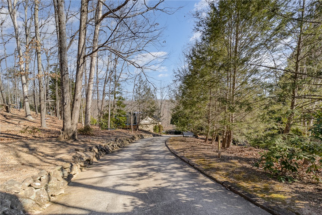 4 Partridge Drive, Greenville, South Carolina image 4