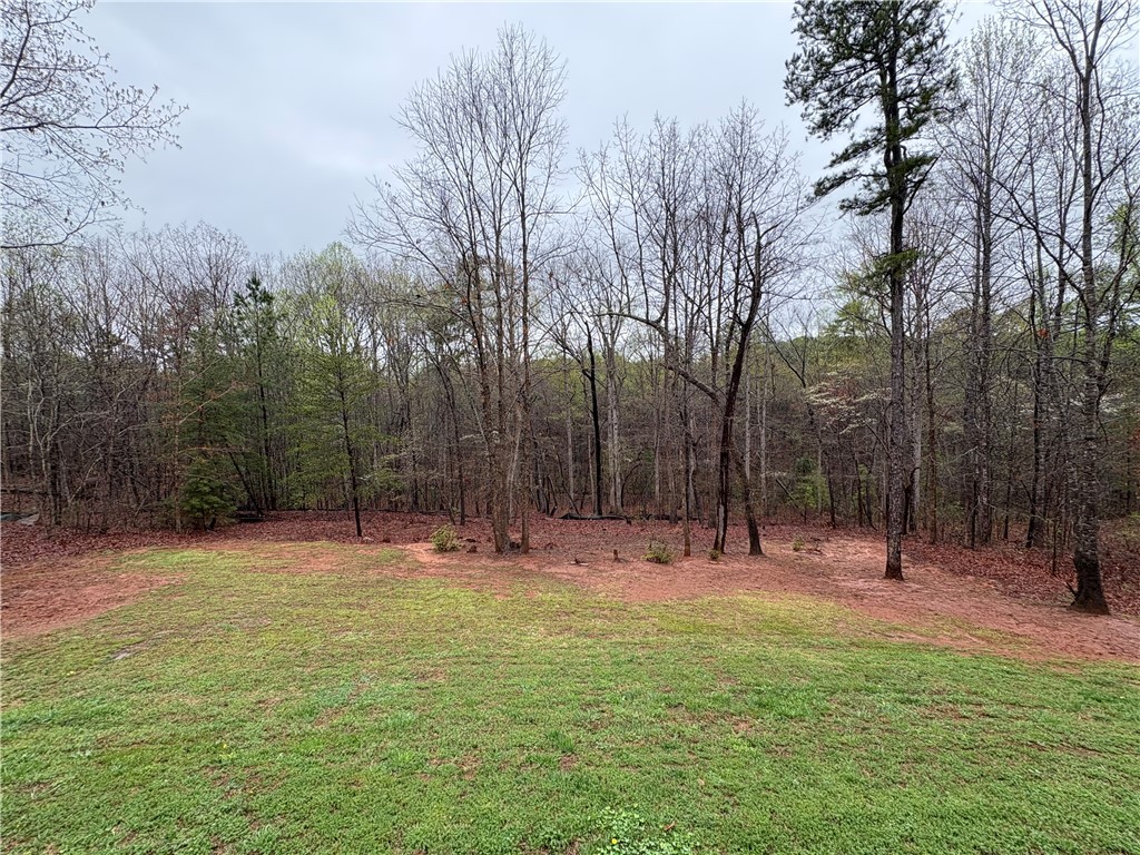 620 Revolutionary Drive, West Union, South Carolina image 10