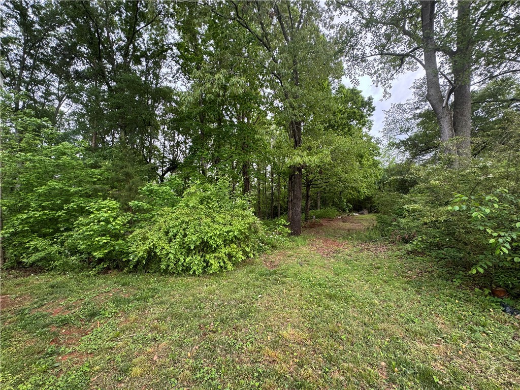 147 Cricket Lane, Easley, South Carolina image 2