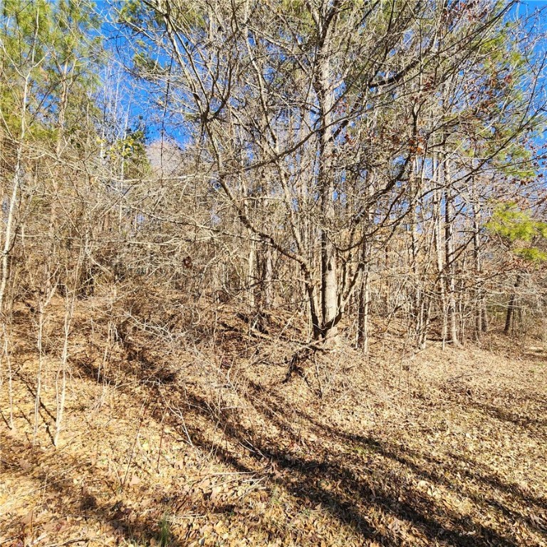 319 Shannandoah Drive, Westminster, South Carolina image 2