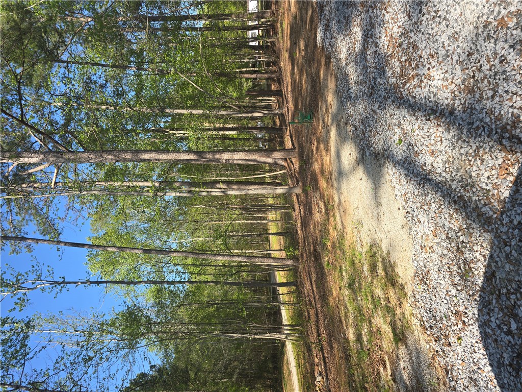 376 Tammi Lane, Fair Play, South Carolina image 22