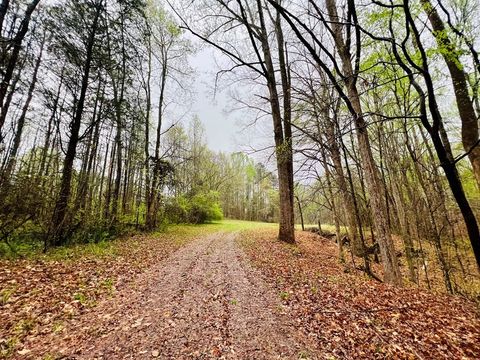Vacant Land For Sale - 10 Cross Street<br/> Abbeville County, Abbeville, SC 29620