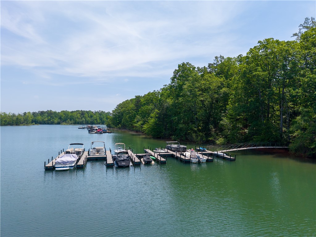 1133 Harts Ridge Drive, Seneca, South Carolina image 32