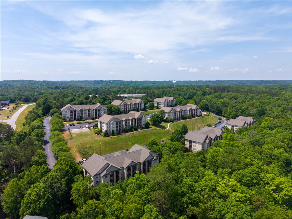 1133 Harts Ridge Drive, Seneca, South Carolina image 30