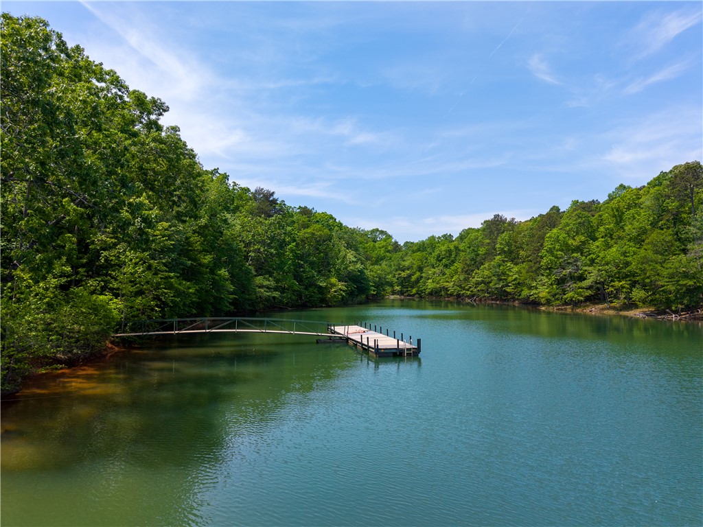 1133 Harts Ridge Drive, Seneca, South Carolina image 33