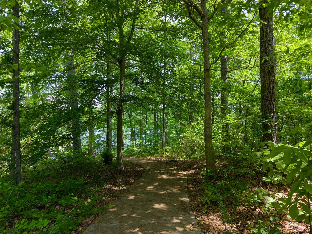 1133 Harts Ridge Drive, Seneca, South Carolina image 29