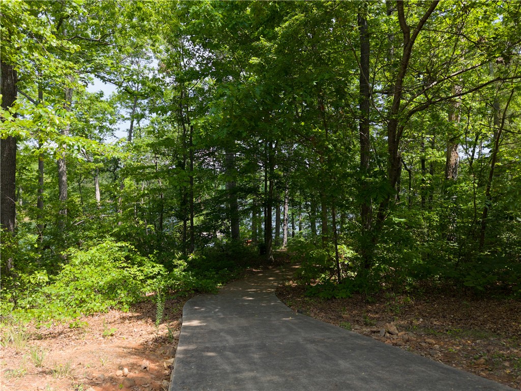 1133 Harts Ridge Drive, Seneca, South Carolina image 28