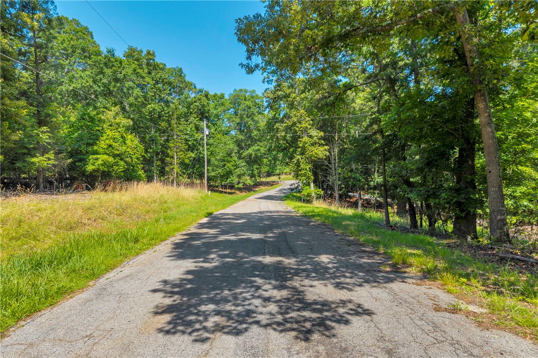 Bramblewood Drive, Hartwell, Georgia image 11