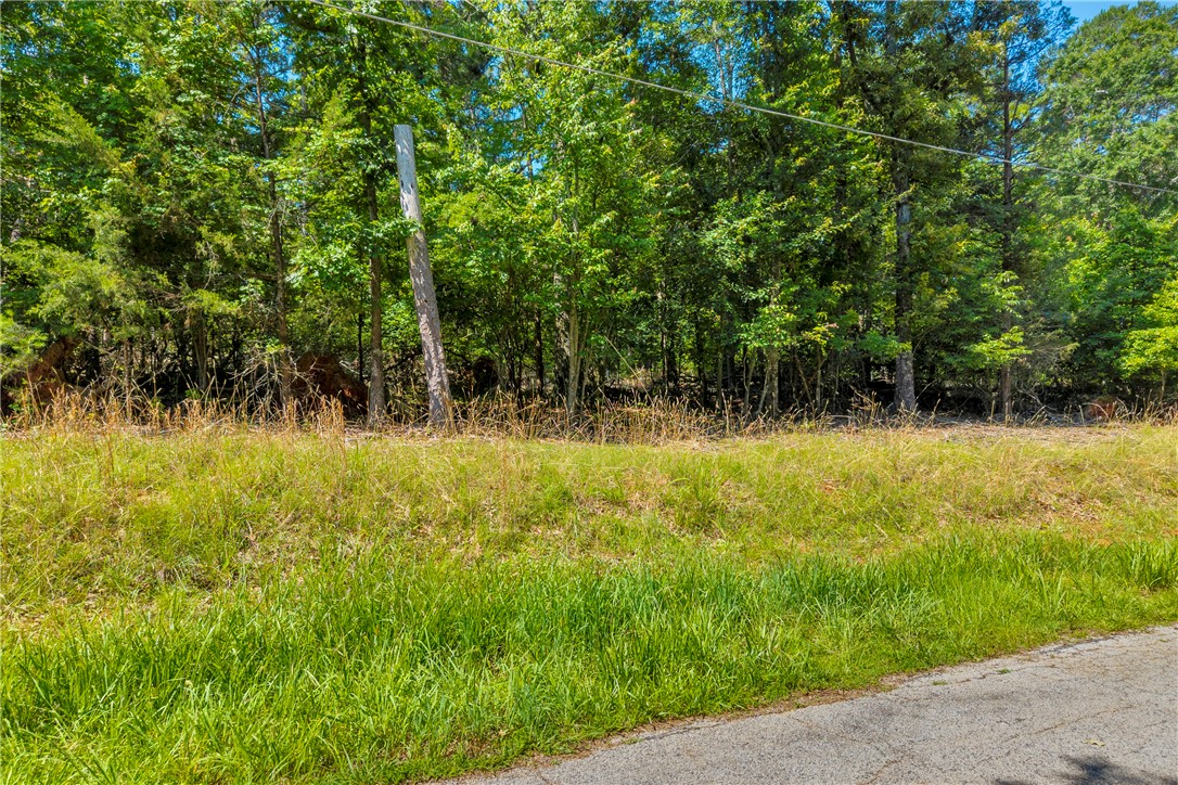 Bramblewood Drive, Hartwell, Georgia image 12