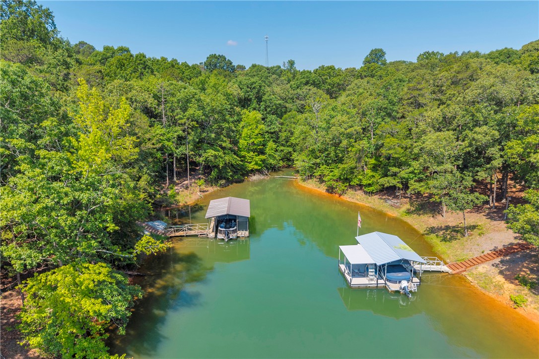 Bramblewood Drive, Hartwell, Georgia image 14