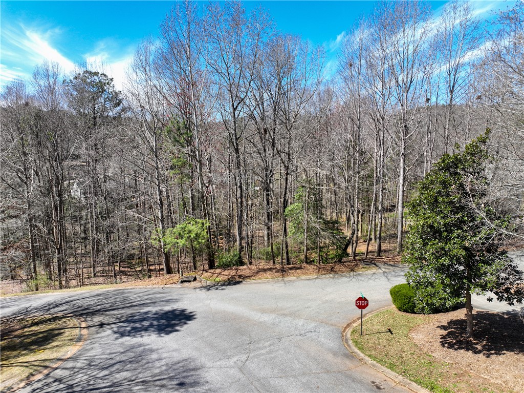 308 Brookstone/lot 11 Greystone Creek Way, Central, South Carolina image 10