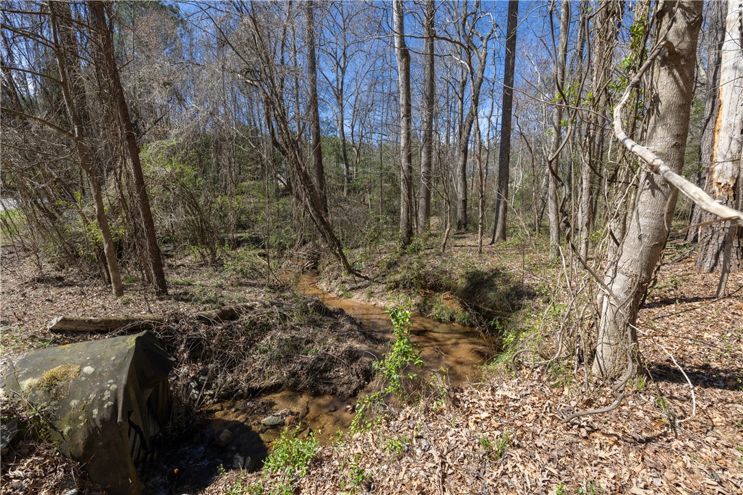 308 Brookstone/lot 11 Greystone Creek Way, Central, South Carolina image 7