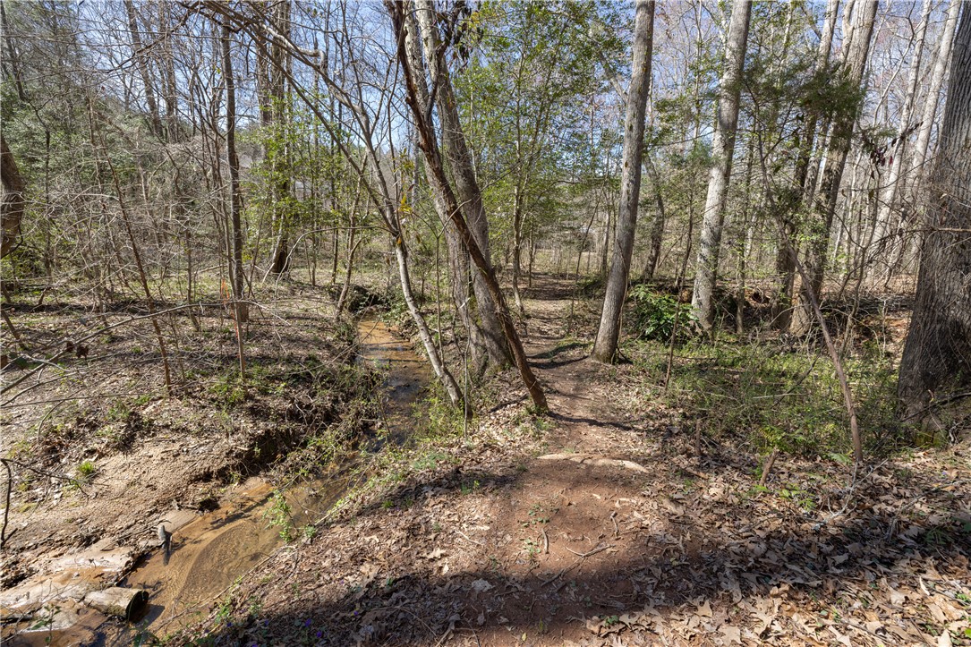 308 Brookstone/lot 11 Greystone Creek Way, Central, South Carolina image 8