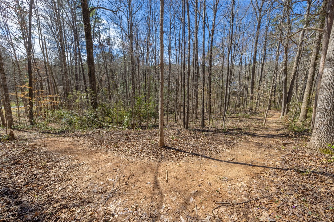 308 Brookstone/lot 11 Greystone Creek Way, Central, South Carolina image 9