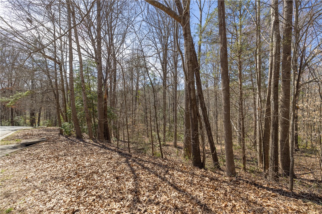 308 Brookstone/lot 11 Greystone Creek Way, Central, South Carolina image 5
