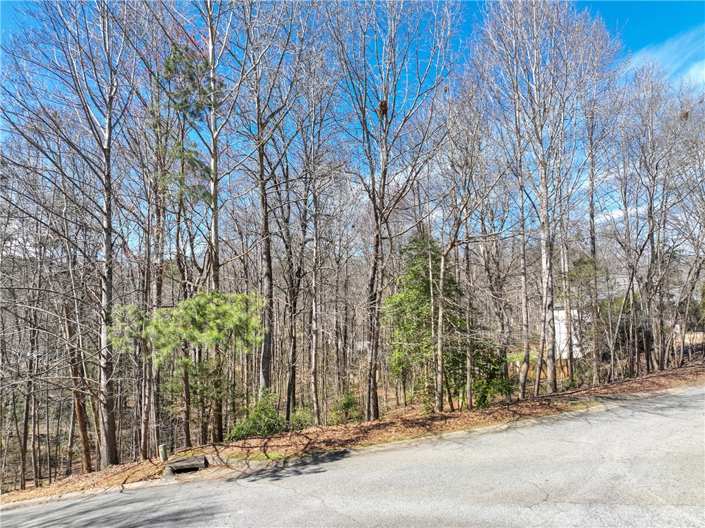 308 Brookstone/lot 11 Greystone Creek Way, Central, South Carolina image 11