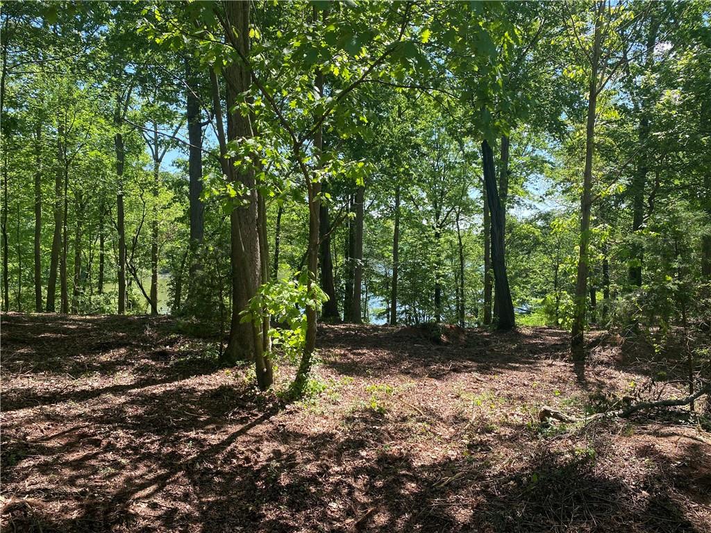 438 Arrowhead Lake Trail, Westminster, South Carolina image 5