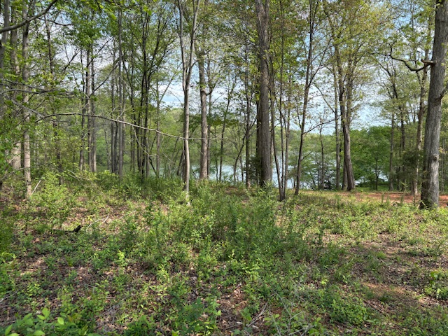 438 Arrowhead Lake Trail, Westminster, South Carolina image 8