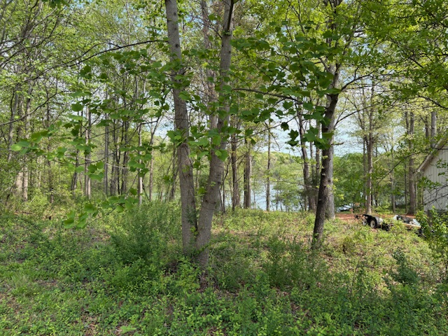 438 Arrowhead Lake Trail, Westminster, South Carolina image 7
