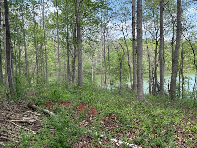 438 Arrowhead Lake Trail, Westminster, South Carolina image 12