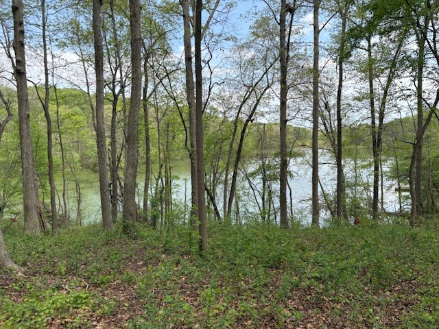 438 Arrowhead Lake Trail, Westminster, South Carolina image 3