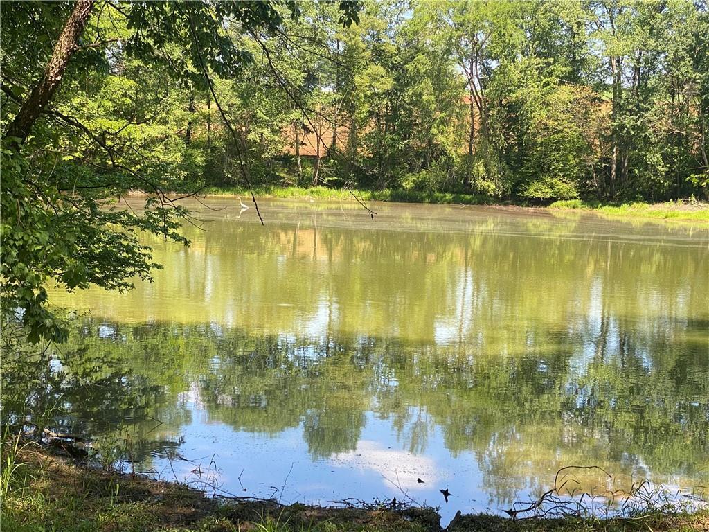 438 Arrowhead Lake Trail, Westminster, South Carolina image 10