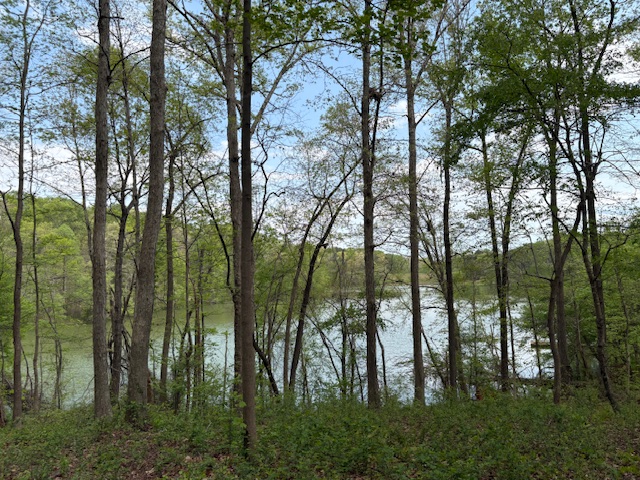 438 Arrowhead Lake Trail, Westminster, South Carolina image 1