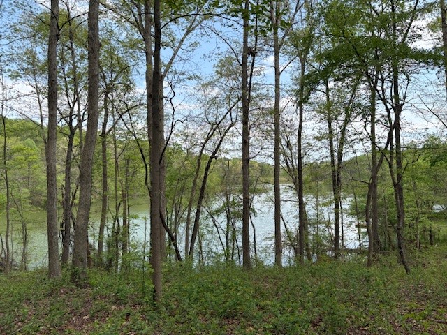 438 Arrowhead Lake Trail, Westminster, South Carolina image 13