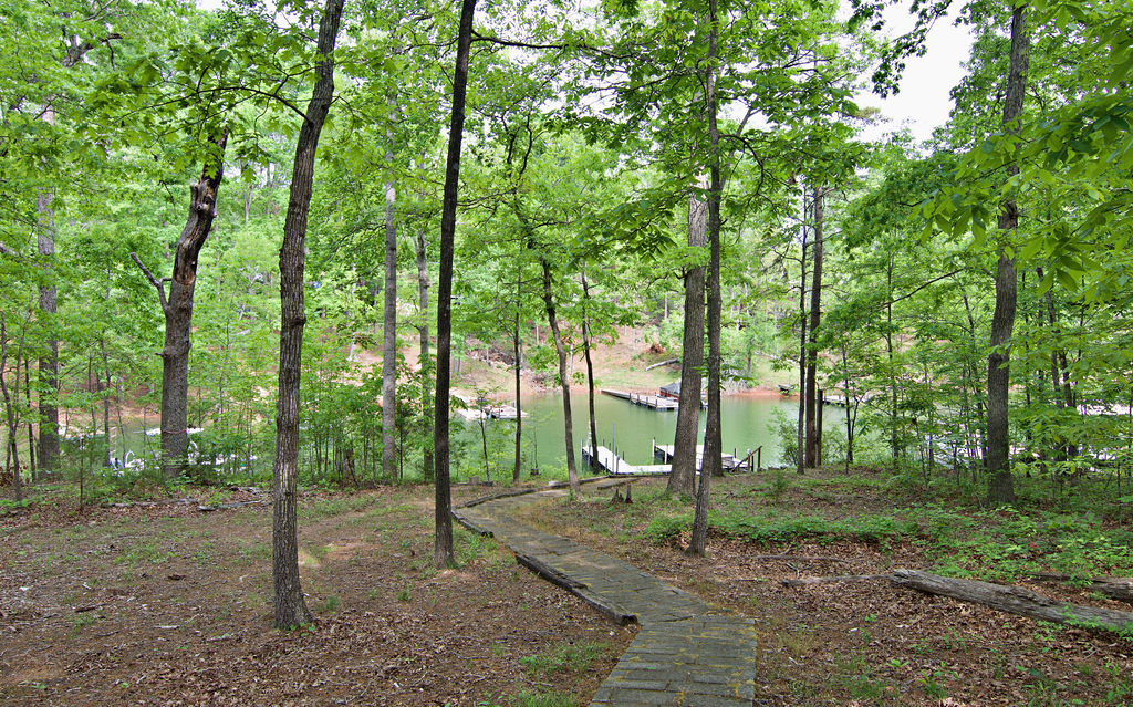 1101 Cherokee Road, Townville, South Carolina image 36