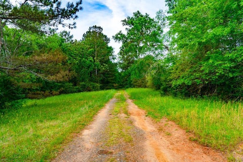 Vacant Land For Sale - 13089 Indian Mound Road<br/> Laurens County, Ware Shoals, SC 29692