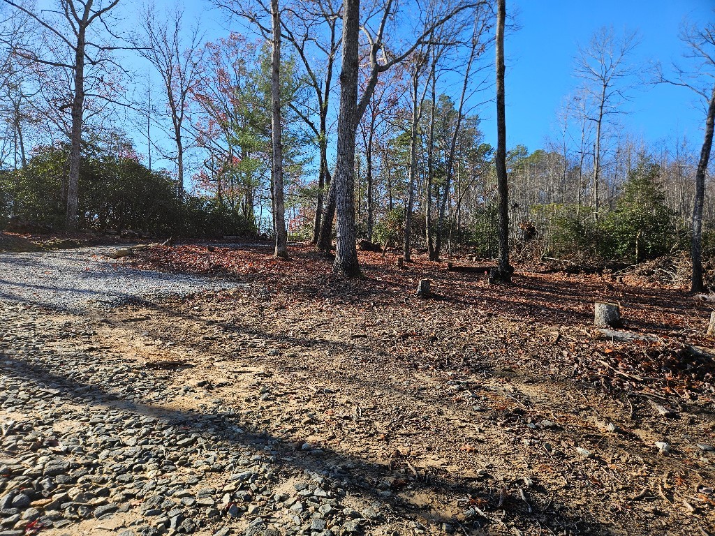 11209 N Hwy 11, Salem, South Carolina image 7