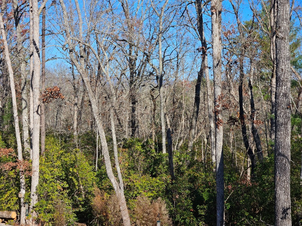 11209 N Hwy 11, Salem, South Carolina image 12