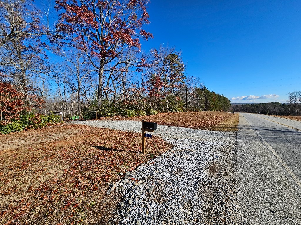 11209 N Hwy 11, Salem, South Carolina image 1