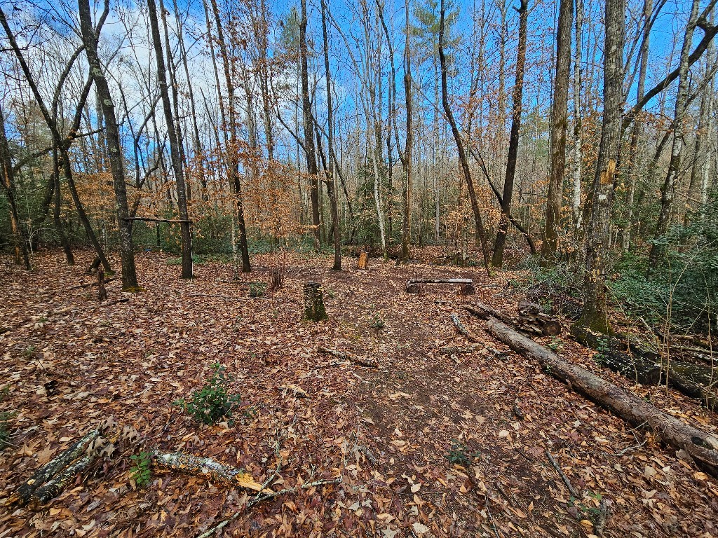 11209 N Hwy 11, Salem, South Carolina image 22