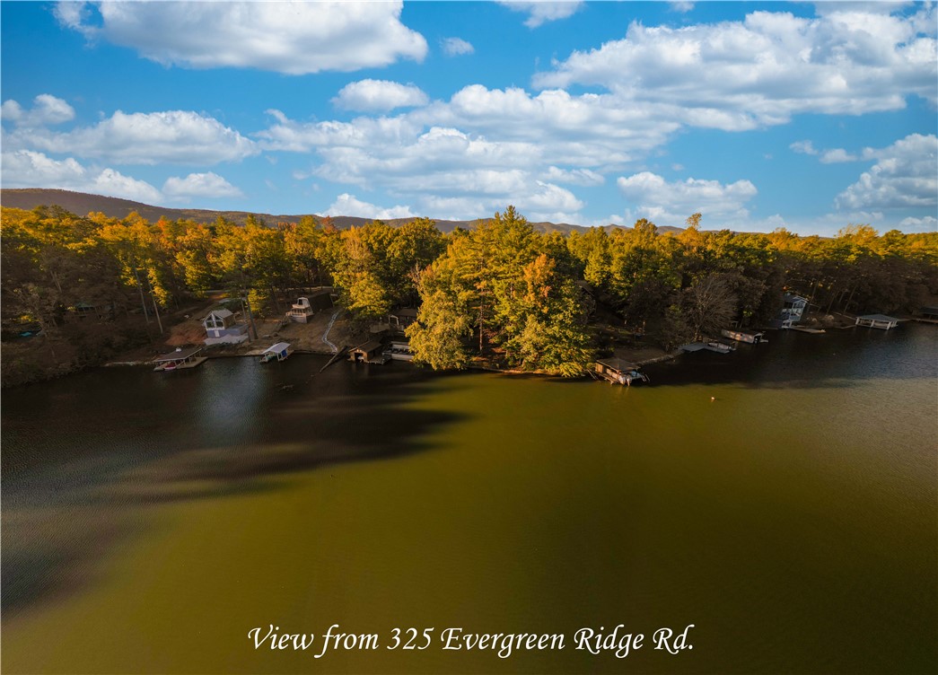 325 Evergreen Ridge Road #WATERFRONT, DOCKABLE, Tamassee, South Carolina image 1