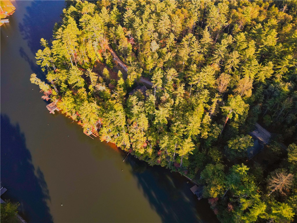 325 Evergreen Ridge Road #WATERFRONT, DOCKABLE, Tamassee, South Carolina image 3