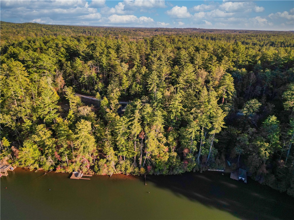 325 Evergreen Ridge Road #WATERFRONT, DOCKABLE, Tamassee, South Carolina image 7
