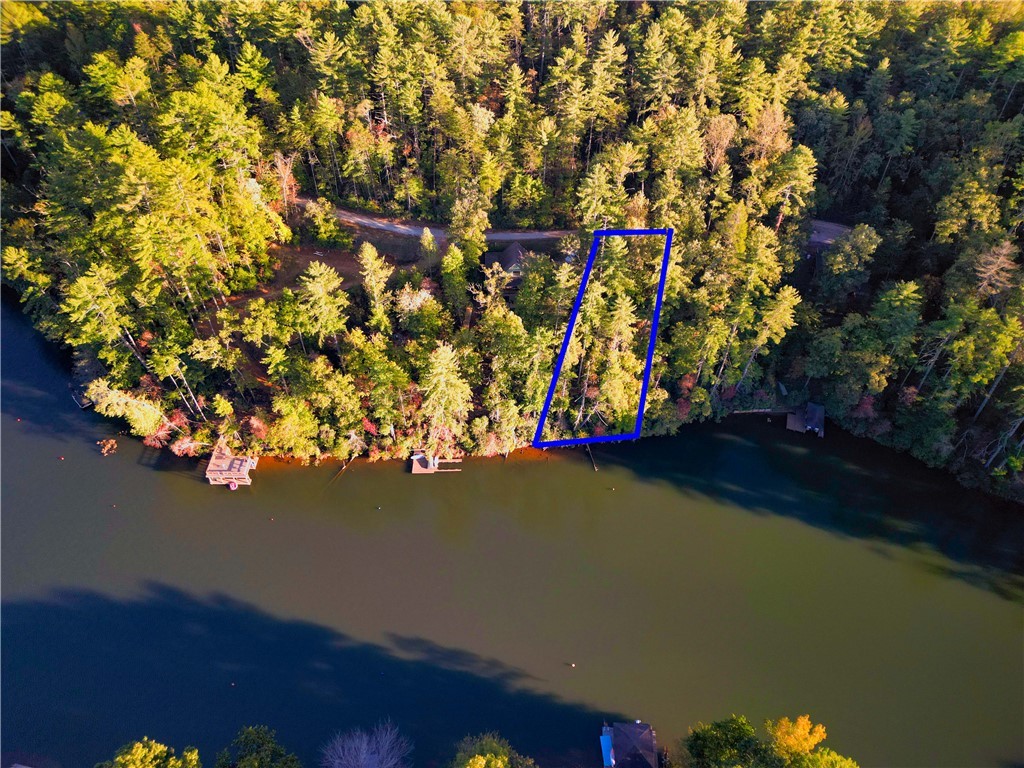 325 Evergreen Ridge Road #WATERFRONT, DOCKABLE, Tamassee, South Carolina image 5