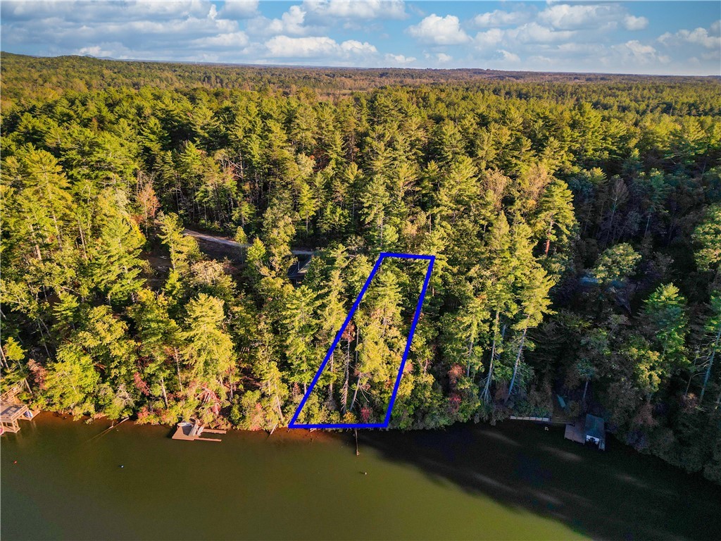 325 Evergreen Ridge Road #WATERFRONT, DOCKABLE, Tamassee, South Carolina image 2
