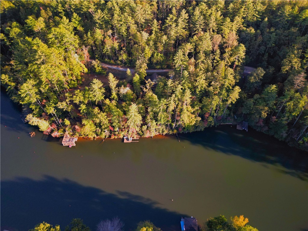 325 Evergreen Ridge Road #WATERFRONT, DOCKABLE, Tamassee, South Carolina image 10