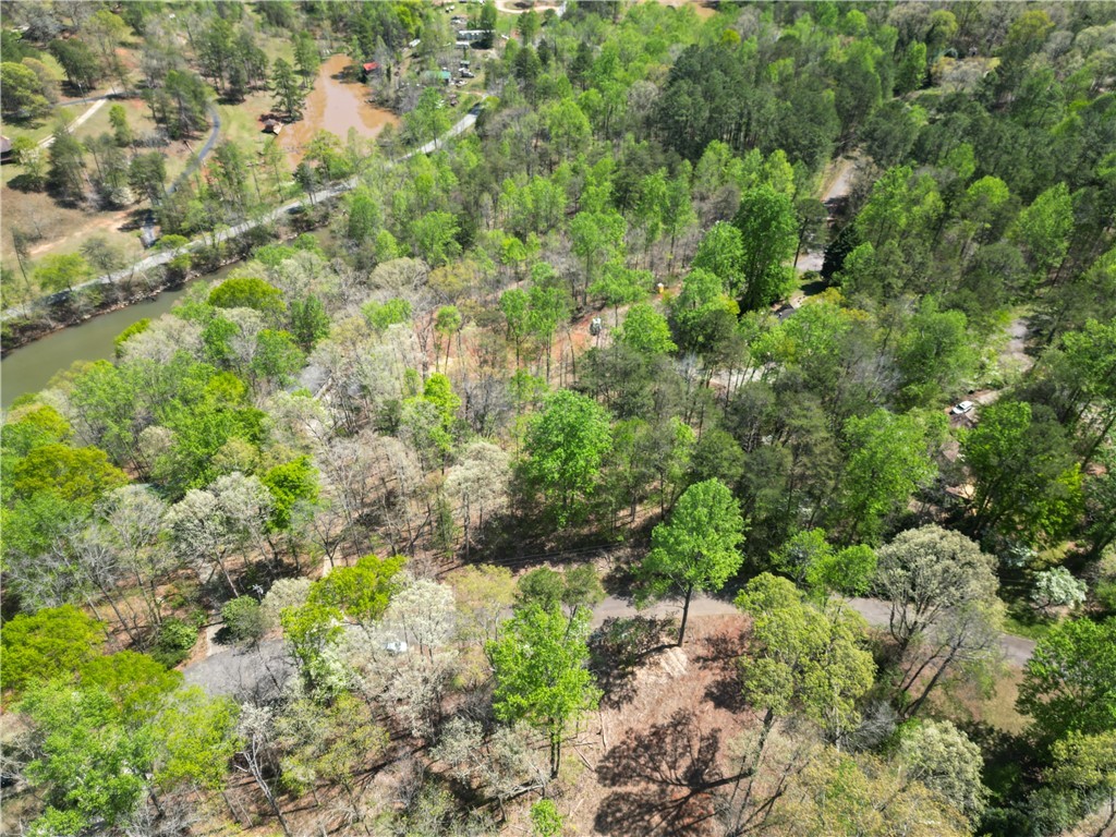 9B Lost Forest Drive, Westminster, South Carolina image 3