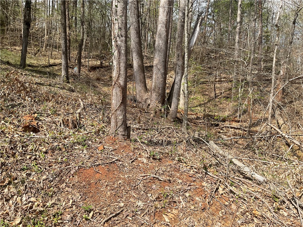 9B Lost Forest Drive, Westminster, South Carolina image 9