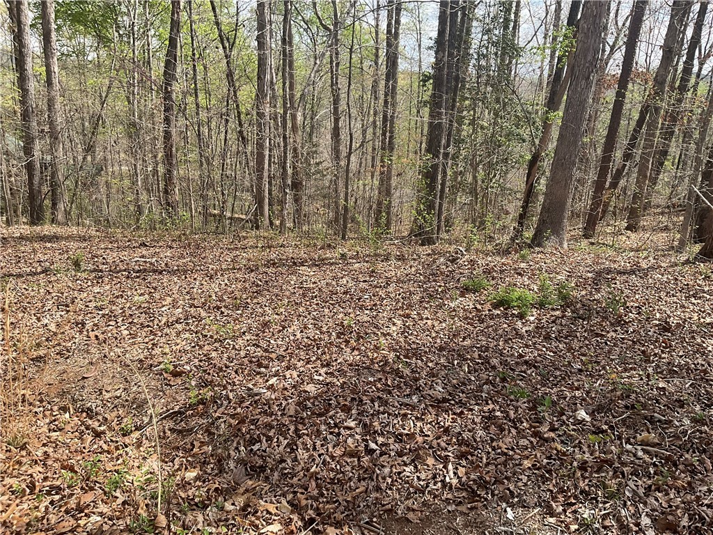 9B Lost Forest Drive, Westminster, South Carolina image 8