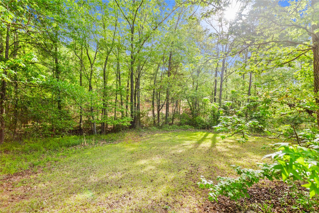 3344 Centerville Road, Anderson, South Carolina image 42
