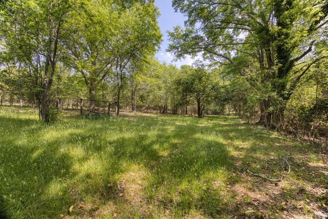 600 Harper Road, Pendleton, South Carolina image 3
